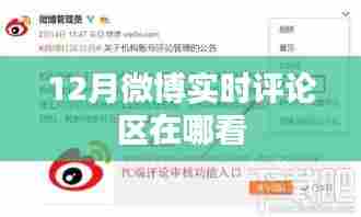 微博实时评论区查看指南