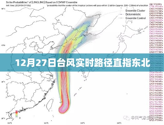 台风实时路径更新,东北成目标