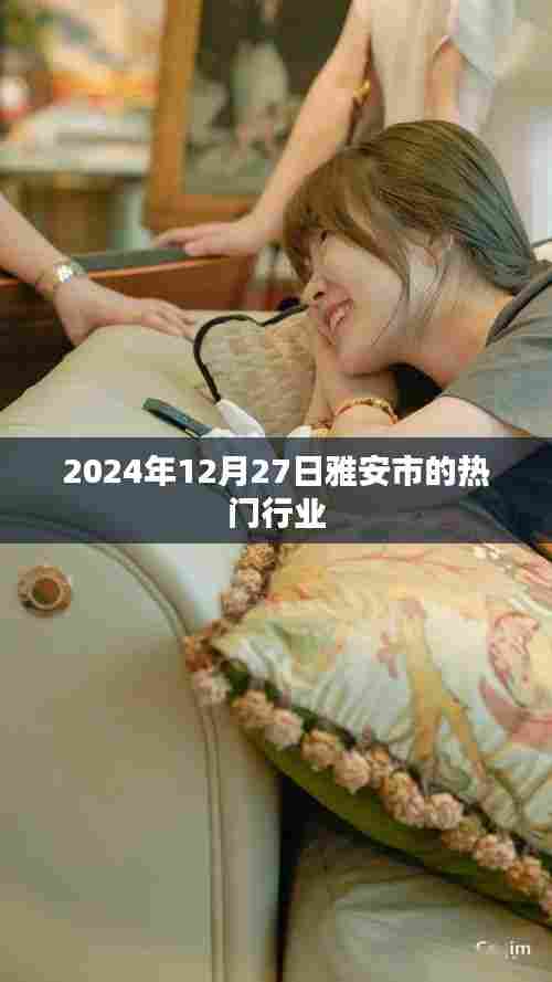 雅安市热门行业概览(2024年12月)