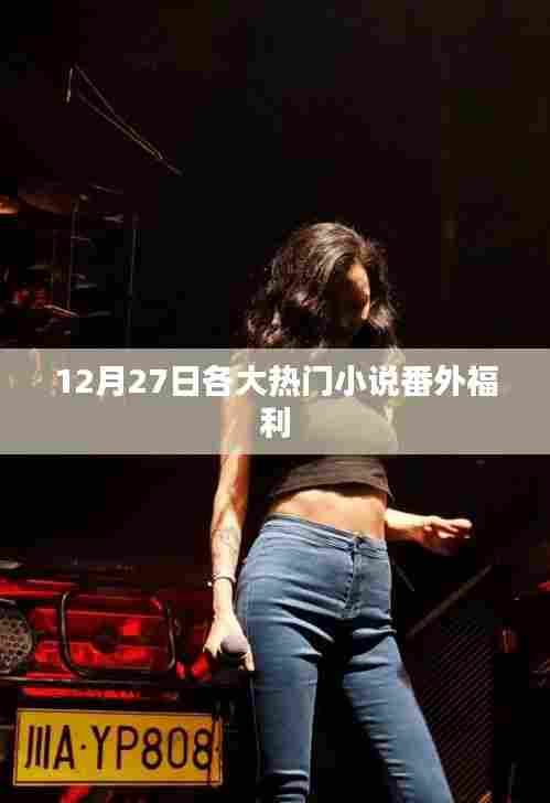 热门小说番外福利大放送,12月27日独家惊喜