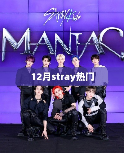 12月stray人气飙升,热门原因大揭秘