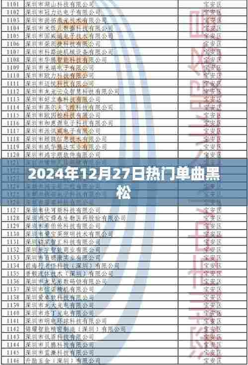 黑松之歌,2024年冬季最热单曲来袭