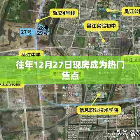 粗枝大叶 第3页