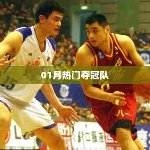 夺冠热门队伍揭秘,一月份最强战队出炉!