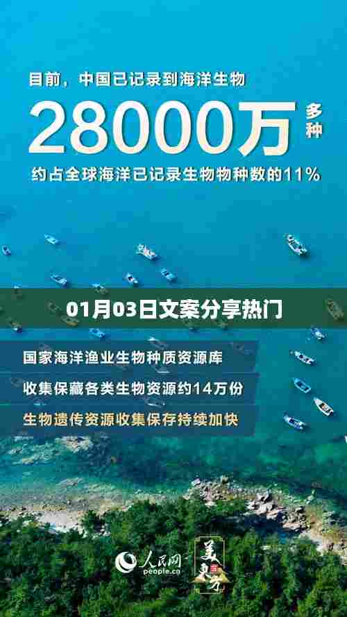 热门文案分享,新年新气象,精选佳作每日更新