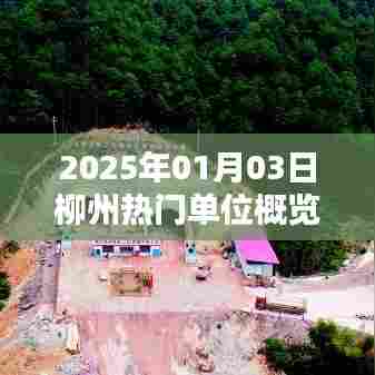 2025年柳州热门单位概览,职场风向标