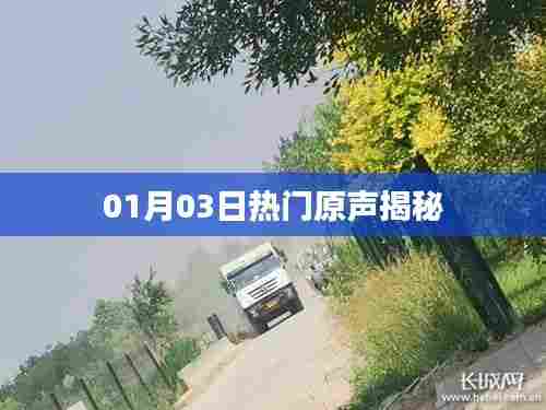 揭秘热门原声背后的秘密,最新爆料,不容错过!