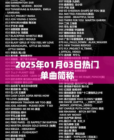 一丝不苟 第3页