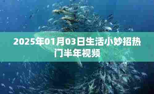 2025年生活小妙招热门半年视频大解密!