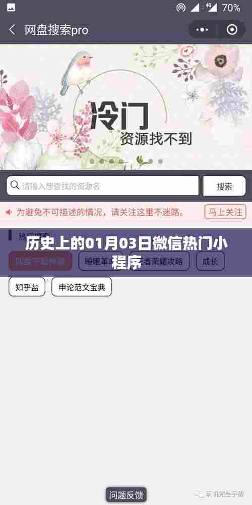 微信热门小程序的历史起源与发展,一月三日回顾