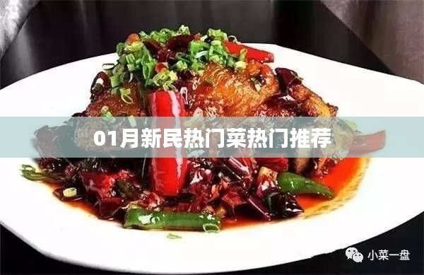 新民一月热门菜肴推荐