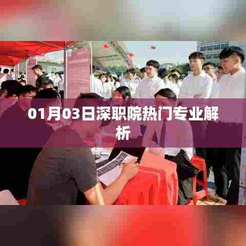 深职院热门专业深度解析,01月最新解读