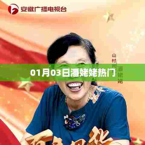 潘姥姥热门事件回顾,揭秘背后的故事