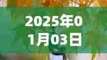 『2025年抖音情侣古风歌曲榜单』