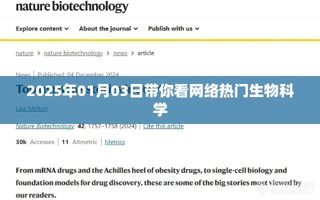 张弓挟矢 第3页