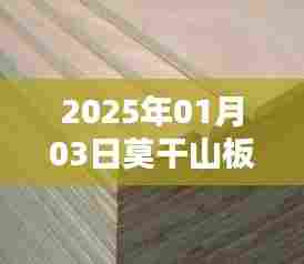 莫干山板材热门资讯,2025年1月3日行业动态