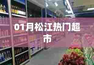 飞箭如蝗 第3页