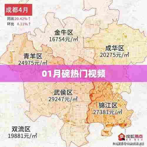 01月热门视频大盘点