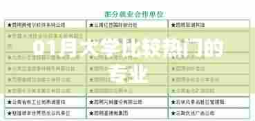 热门大学专业比较,一月最新排名解析