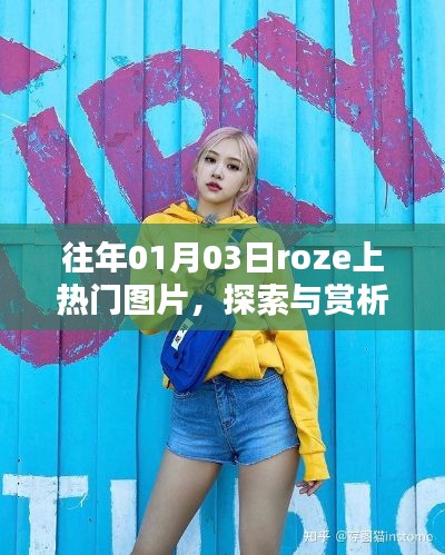探索赏析,Roze上热门图片,日期回溯至往年元旦后三日