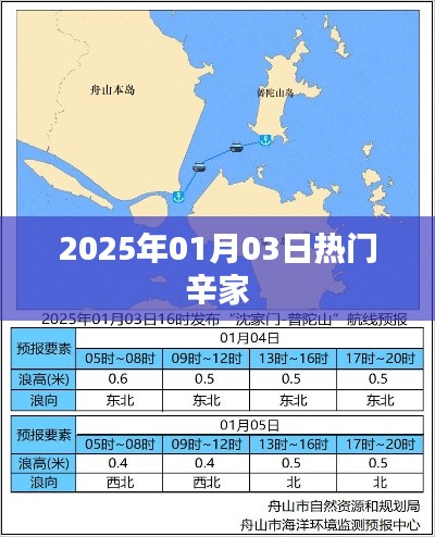 辛家热门资讯一网打尽,2025年1月3日动态