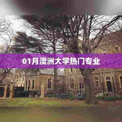 澳洲大学热门专业一月榜单揭晓