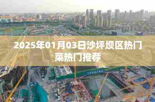 2025年沙坪坝区热门菜推荐,美食盛宴不容错过