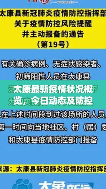 太康最新疫情状况概览,今日动态及防控要点解读