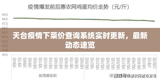 天台疫情下菜价查询系统实时更新,最新动态速览