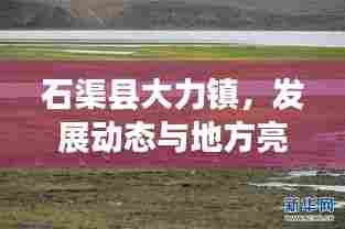 石渠县大力镇,发展动态与地方亮点新闻头条