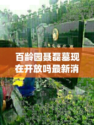 铺张浪费 第2页