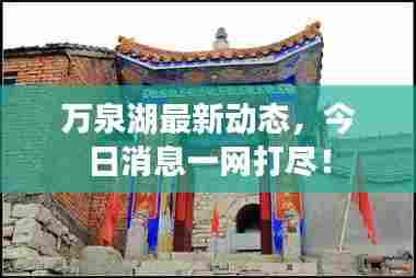 万泉湖最新动态,今日消息一网打尽!