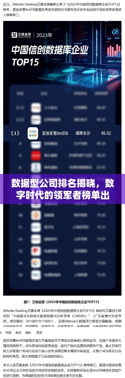 数据型公司排名揭晓,数字时代的领军者榜单出炉!