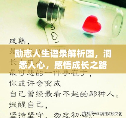 励志人生语录解析图,洞悉人心,感悟成长之路
