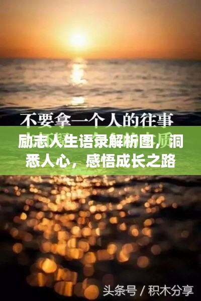 励志人生语录解析图,洞悉人心,感悟成长之路