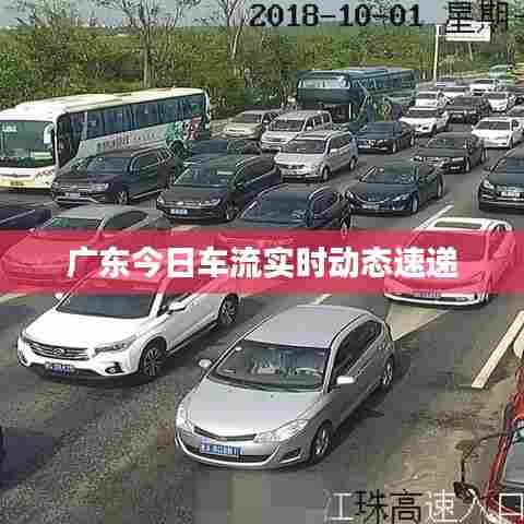 广东今日车流实时动态速递