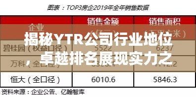 揭秘YTR公司行业地位,卓越排名展现实力之巅