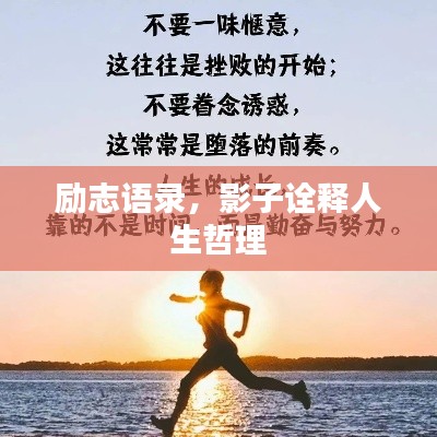 流光飞舞 第3页