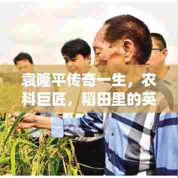 袁隆平传奇一生,农科巨匠,稻田里的英雄