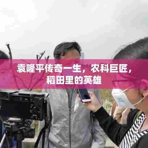 袁隆平传奇一生,农科巨匠,稻田里的英雄