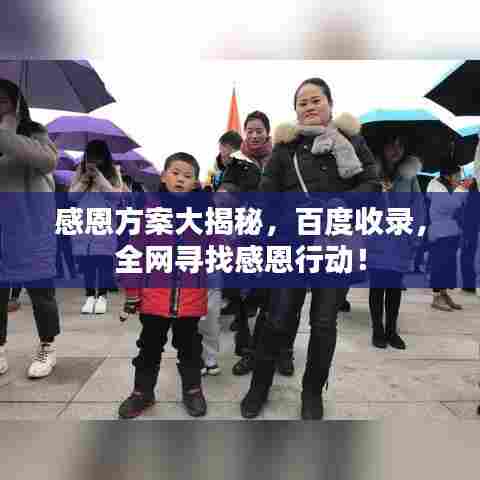 感恩方案大揭秘,百度收录,全网寻找感恩行动!